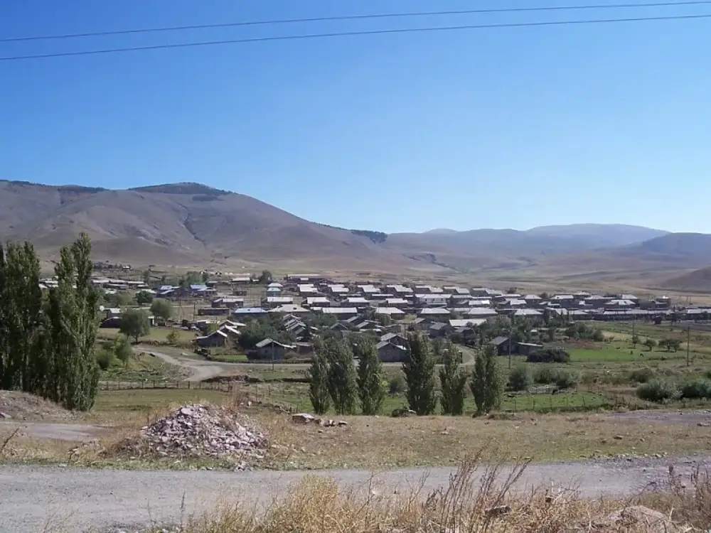 Սարավանում, Ջաջուռում, Ջրառատում, Շաքիում և Նոր Ազնաբերդ գյուղում քվեարկության նախնական արդյունքները