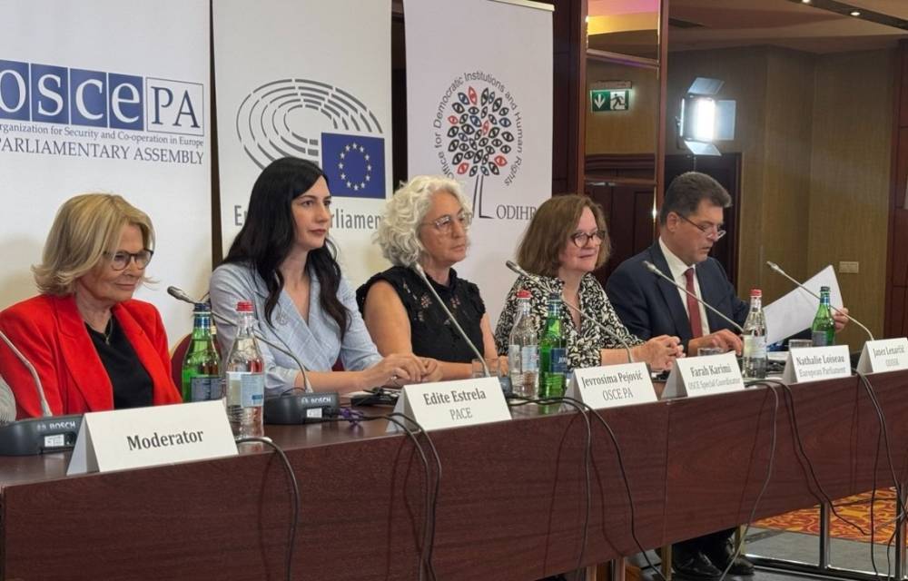 ԵԽԽՎ-ն մտահոգություններ է արձանագրել ընտրարշավի ընթացքում