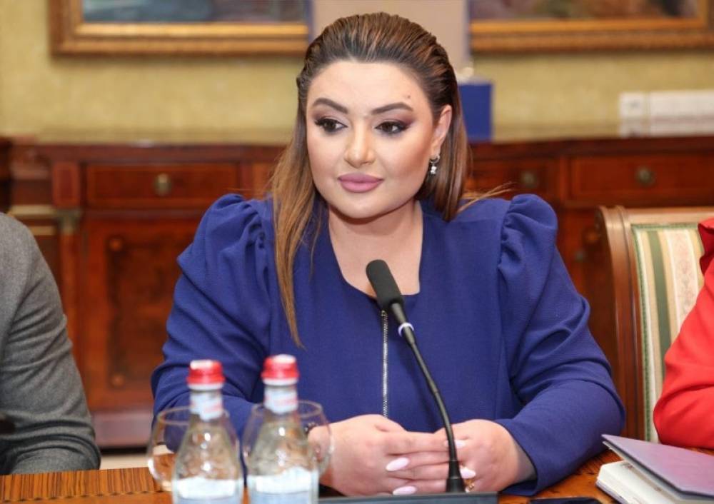 Ի՞նչը հերքեմ կամ մեկնաբանեմ. Իվետա Տոնոյանը՝ «ստոյկա» տալու՝ Փաշինյանի արտահայտության մասին