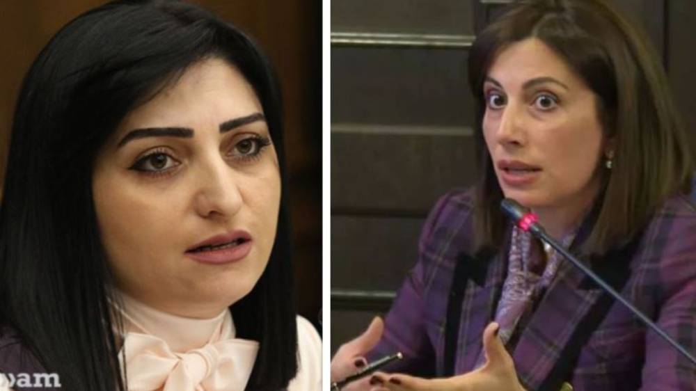 «Կխնդրեմ՝ կեղծ թեզ չդենք իմ բերանը», «կեղծիք տարածողը դուք եք». Թովմասյան-Ավանեսյան հակադարձումներ՝ ԱԺ-ում