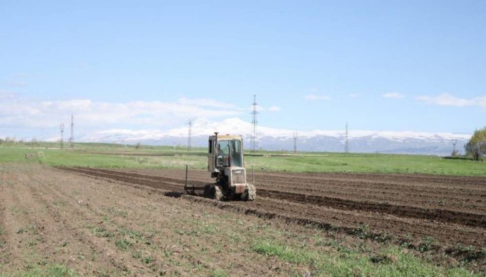 Արցախում իրականացվել է 559.4 հա գարնանացան 3719.2 հա-ի փոխարեն