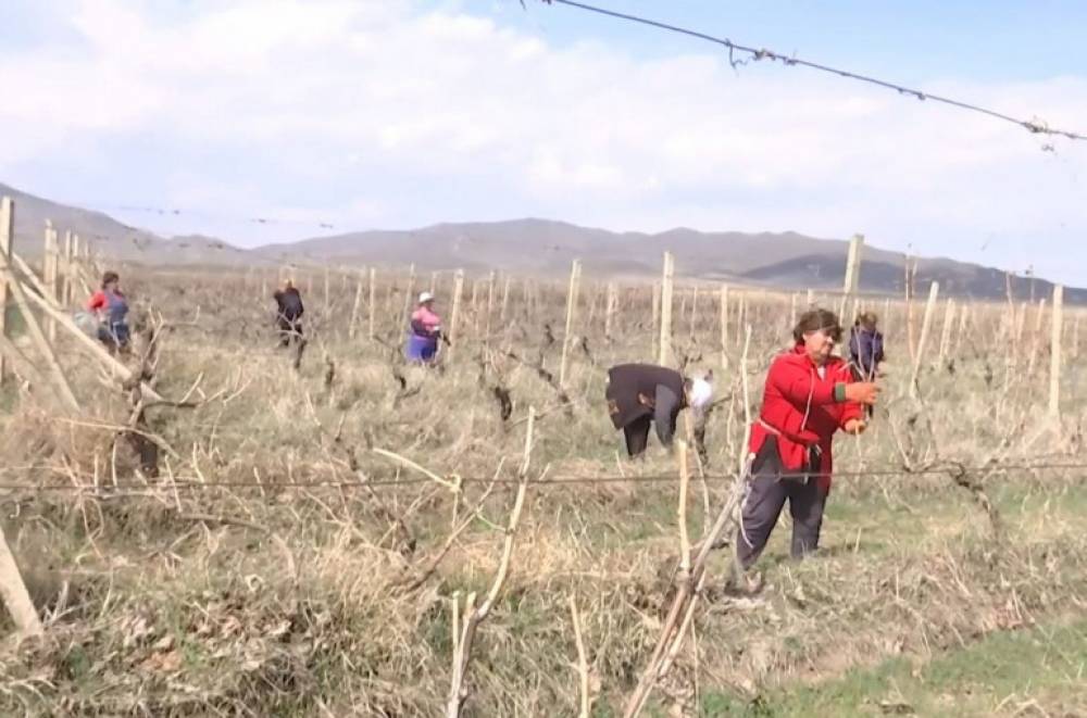 Ռուս խաղաղապահների աջակցությամբ Լեռնային Ղարաբաղում մեկնարկել են գյուղատնտեսական աշխատանքները. ՌԴ ՊՆ