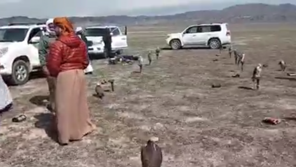 Արաբ շեյխերը թռչուններ են որսում Արցախի օկուպացված շրջաններում (տեսանյութ)