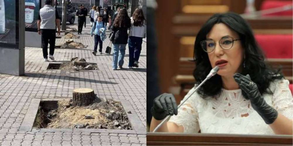 «Ժամանակին, երբ Մաշտոցի պուրակում մի թուփ էր կտրվում, ՔՊ ներկայիս շայկան պառկում էր թփի տակ». Զոհրաբյան