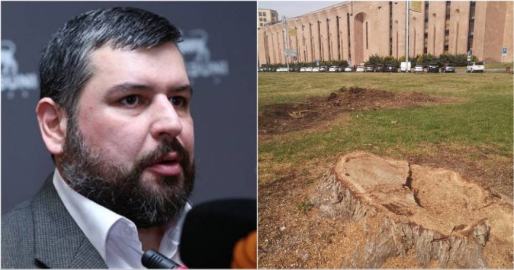 Ամբողջ քաղաքով ընկած առողջ ծառերը վարի են տալիս, ինչ ա թե ինչ-որ նիկոլական պիտի «թանկարժեք ծառատեսակների» տնկիներ ներկրի իմ և ձեր վճարած հարկերի հաշվին