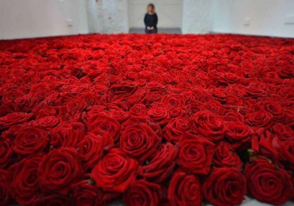 ՌԴ-ն, մարտի 8-ին ընդառաջ, ամենից շատ ծաղիկներ է ներկրել Հայաստանից, Վրաստանից եւ Թուրքիայից