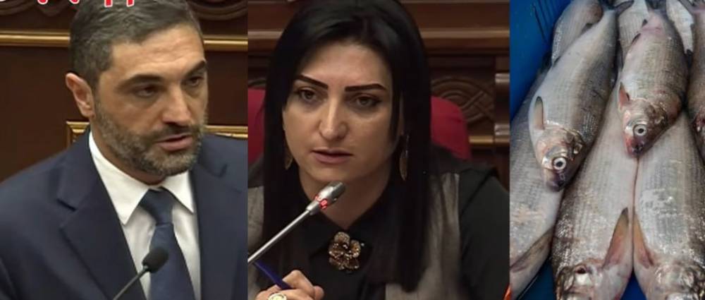 Որքանո՞վ կթանկանա Սևանի սիգը. նոր հարկատեսակ ձկնորսների համար․ «Ժողովուրդ»