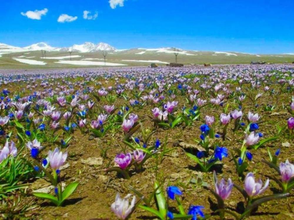 Սպասվում է առանց տեղումների եղանակ
