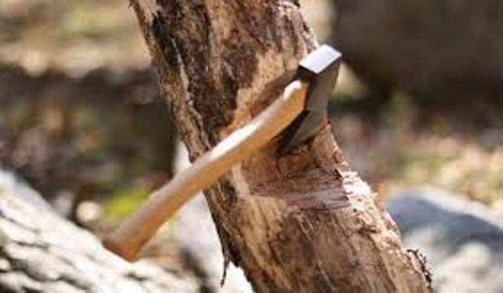 «Եթե իմ տունը չէ, ապա ու՞մն է …»․ Անուշիկ Առաքելյան