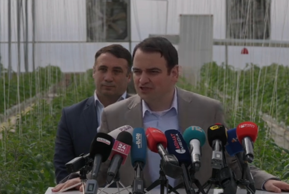 «Ուժեղ Հայաստան»-ը չգրանցելը կլինի ժողովրդավարության չեղարկում. Նարեկ Կարապետյան