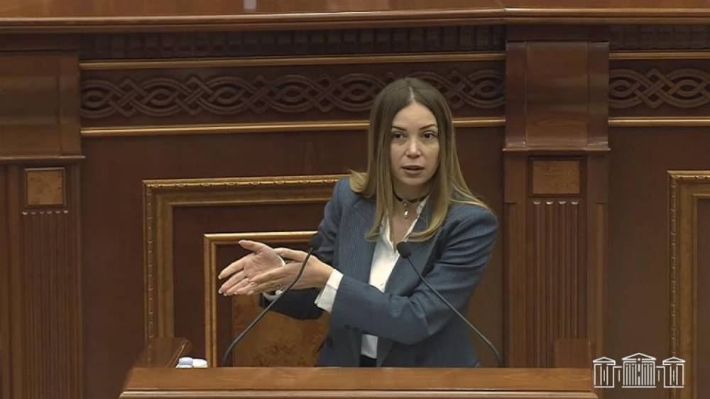 Արարատ անունով ԱԳ նախարար ունեք, ինքն ի՞նչ է, քայլող սադրա՞նք է․ Աննա Գրիգորյան