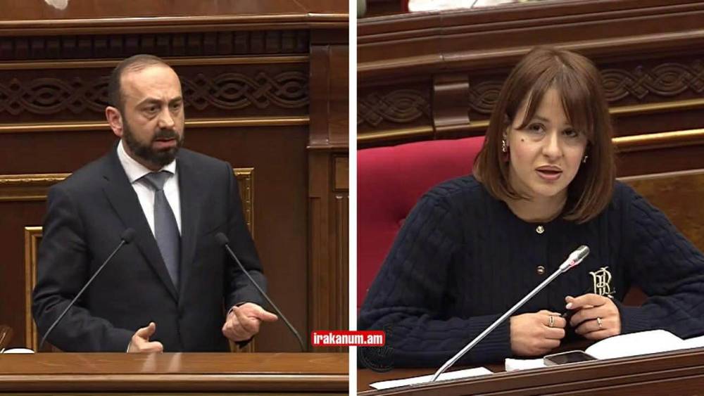 Լողազգեստով 40 նկար է քցել Շրի Լանկայից, փող ունի. Միրզոյանը՝ պшտերազմի գոտում գտնվող հայերի մասին