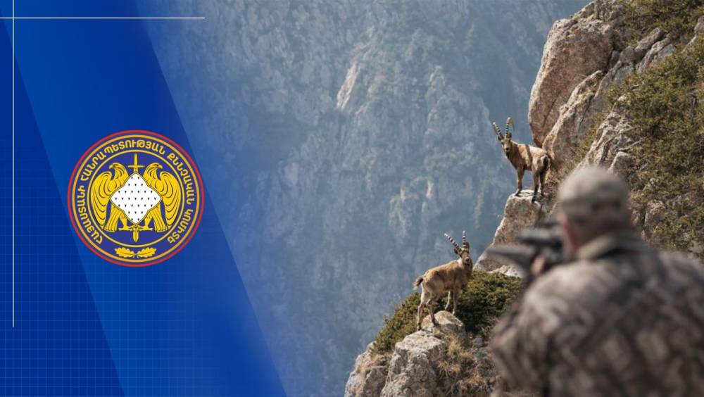 Կարմիր գրքում գրանցված բեզոարյան այծ ապօրինի որսալու դեպքի առթիվ քրվարույթի նախաքննությունն ավարտվել է. վնասը վերականգնվել է