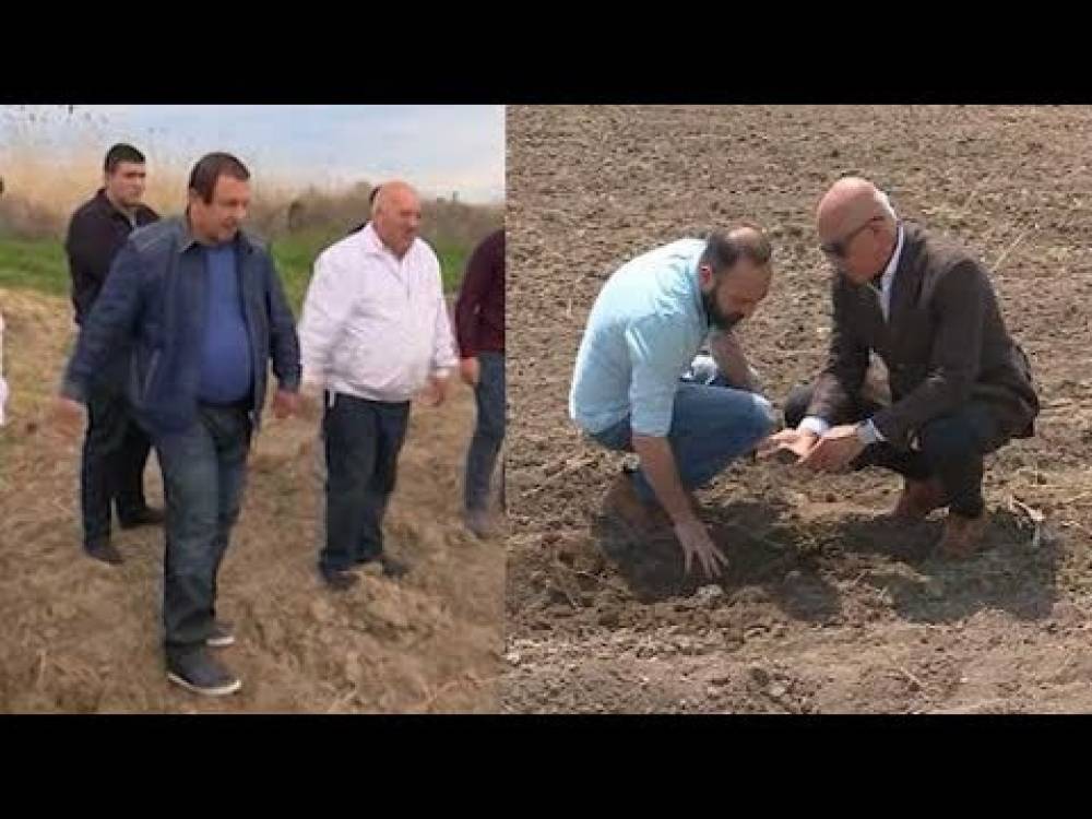 Գ. Ծառուկյանի գերմանացի գործընկերը ծանոթացել է բամբակի արտադրության գործընթացին