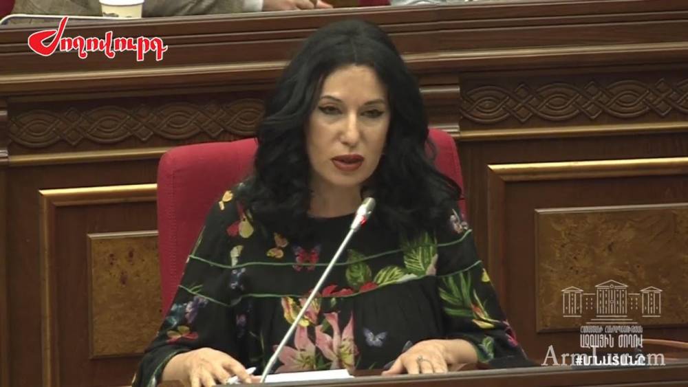20 դրամանոց դիմակները վաճառվում են 200-250 դրամով. Նաիրա Զոհրաբյանը՝ Տիգրան Ավինյանին