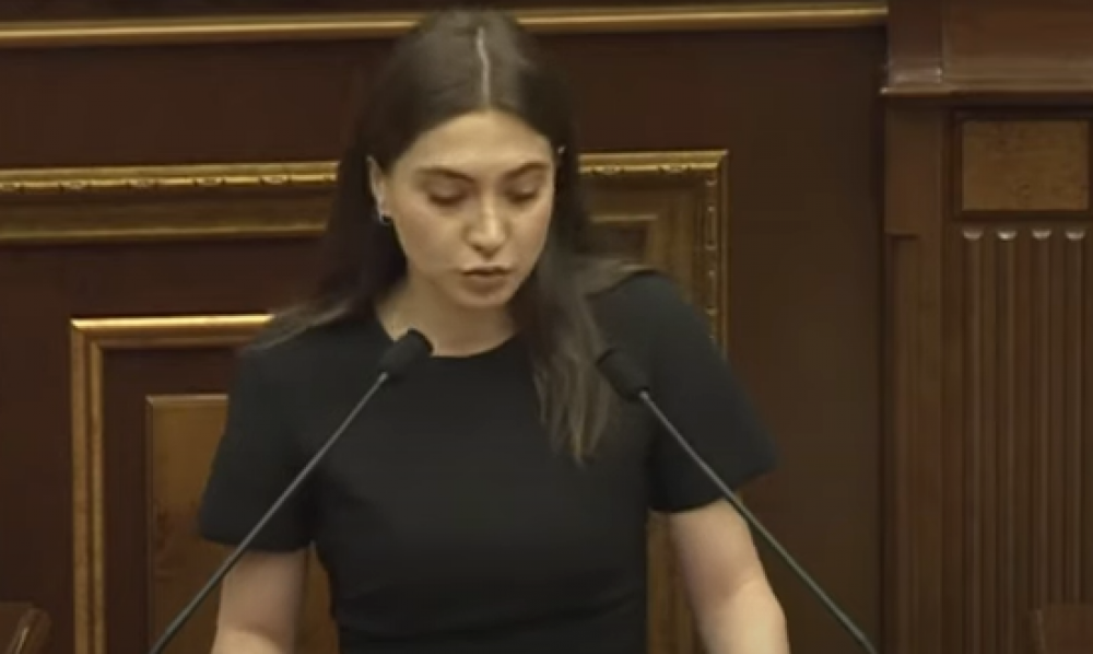 Փաստորեն, թուրքերը մեզ պիտի կադաստրի թուղթ տան մեր երկրում ապրելու համար. Աննա Մկրտչյան