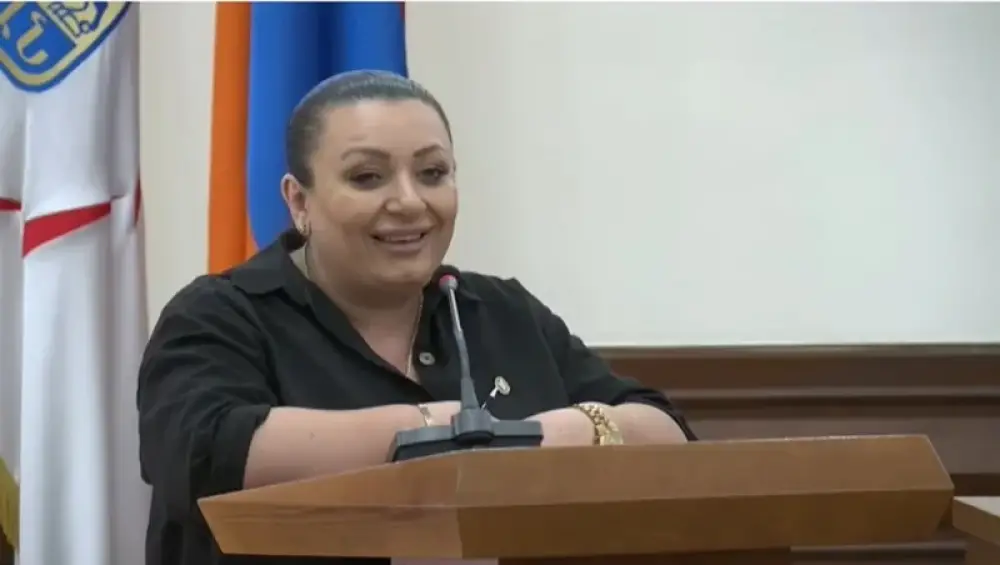Քննիչը որոշում է կայացրել Անի Խաչատրյանի հայտնի հայտարարության մասով