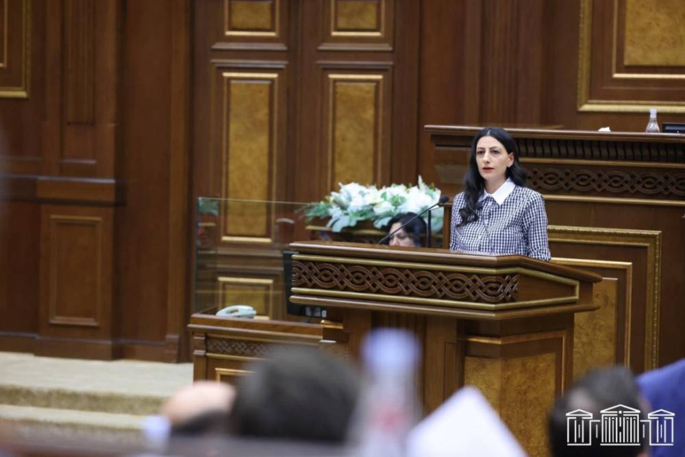 Կալանքի կիրառման մեծաքանակությունը մտահոգիչ է. Անահիտ Մանասյան