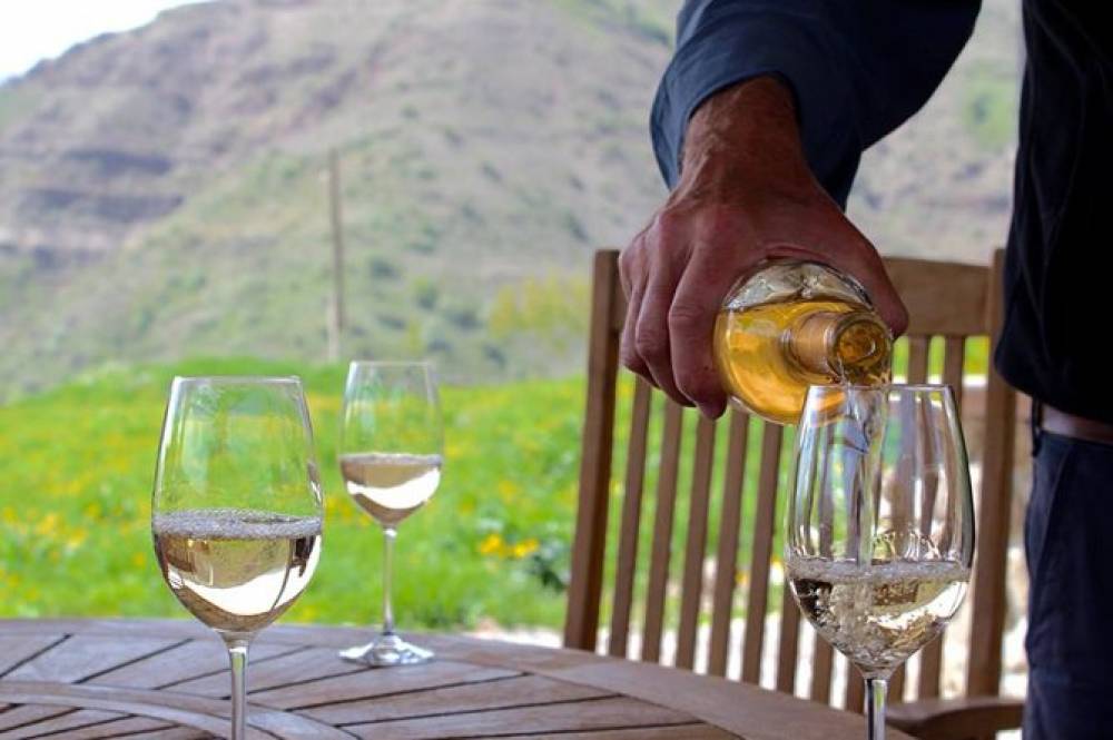 Վայելեք գինի և ներդրում կատարեք «Հայաստան» հիմնադրամում. գինեգործներն՝ Արցախի համար