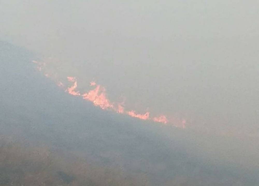 Ադրբեջանը հումանիտար աղետին ավելացնում է նաեւ բնապահպանականը. Արցախի ԱԻՊԾ