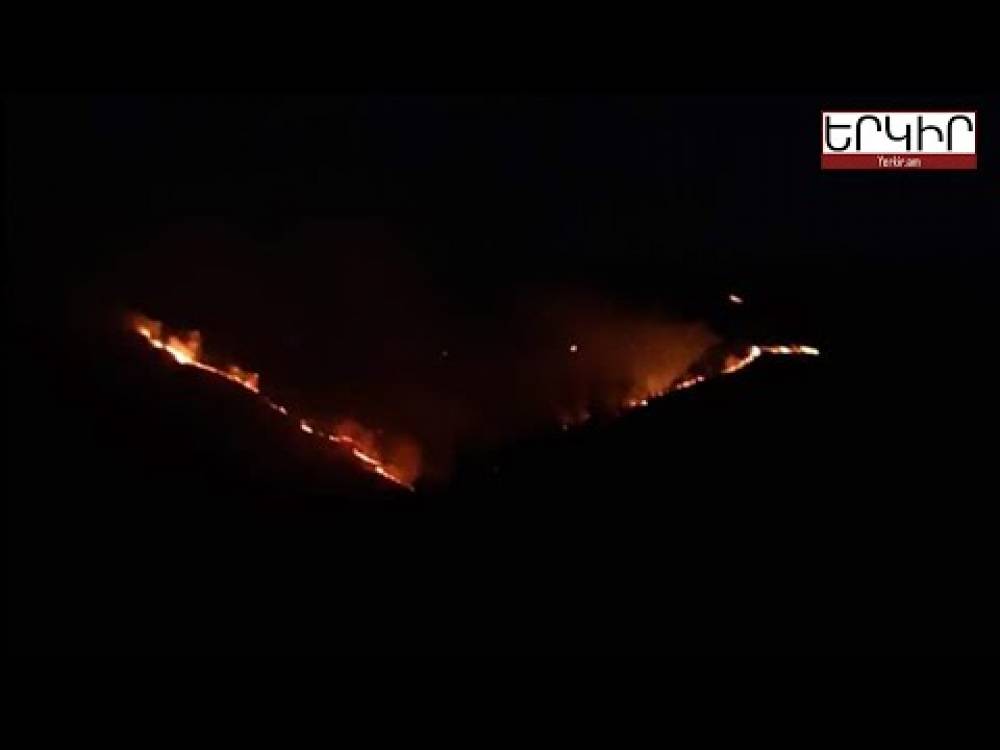 Ադրբեջանը այրում է Արծվաբերդի անտառները (տեսանյութ)