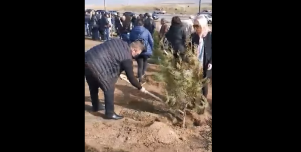 Ալբերտ Հովհաննիսյանի անվանական ծառը տկնվեց Հավերժների այգում (տեսանյութ)