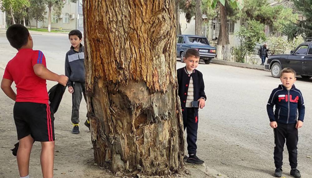 «Պատերազմի օրերին հրթիռային հարվածից վնասված ծառի մոտ մարտունեցի էս ուժեղ տղերքին հանդիպեցի»․ Ալեն Ղուլյան