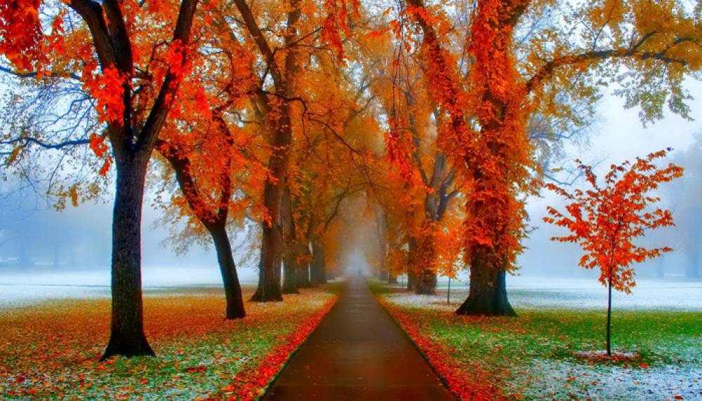 Եղանակը Հայաստանի Հանրապետությունում և Արցախում