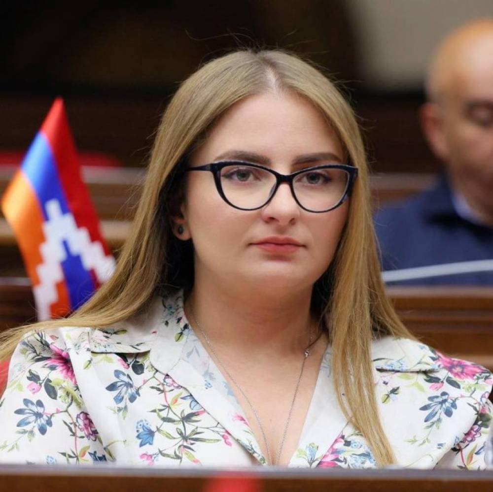 Իշխող ուժի ներկայացուցիչները Եվրանեսթի շրջանակներում կողմ են քվեարկել հակավրացական բանաձևին, որտեղ Վրաստանի իշխող ուժն անվանվել է «ինքնահռչակ». Վարդանյան