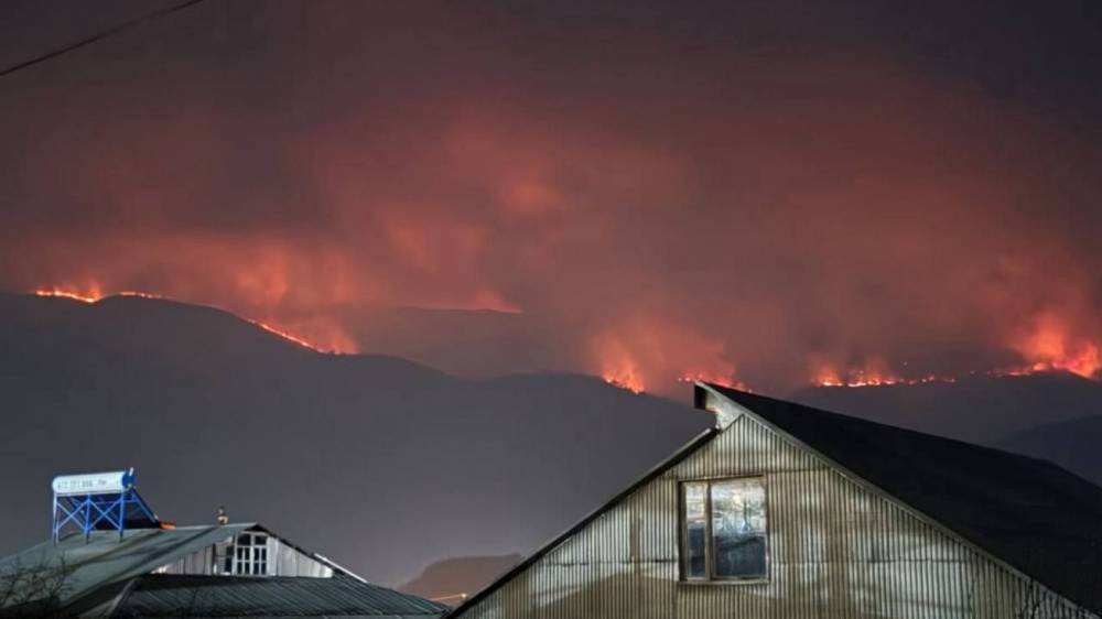 Ի՞նչ է կատարվում Դիլիջանի անտառներում