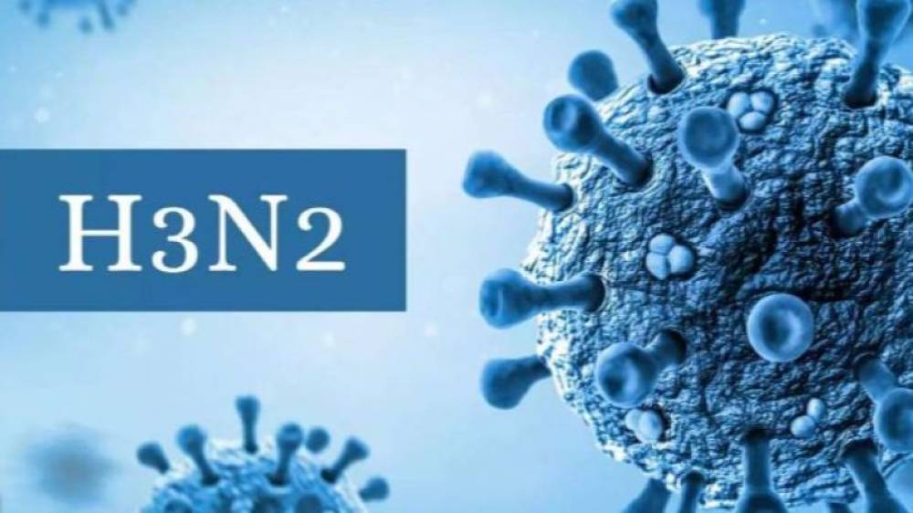 Հայաստանում հաստատվել է գրիպ A-ի H3N2 ենթատեսակը