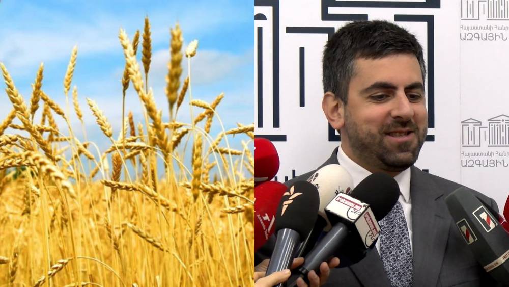 Ես նոր եկած ցորենի մասնագետ չեմ. ՔՊ-ականը՝ ընդդիմադիրների՝ ցորենի վերաբերյալ հայտարարության մասին