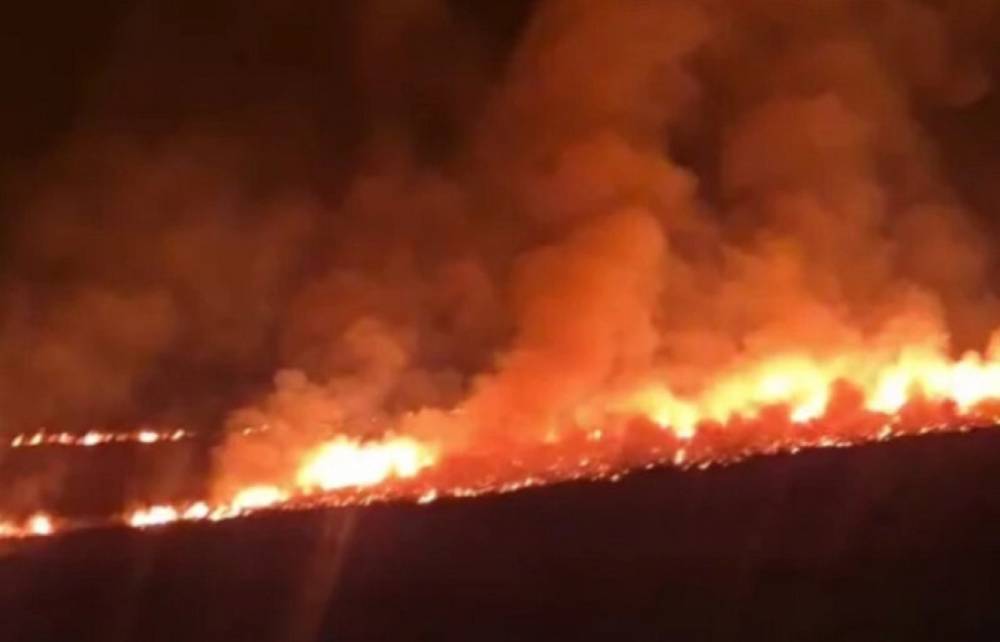 Հայաստանում լայնամասշտաբ հրդեհների դիտավորության վերաբերյալ կասկածներ կան, քրեական վարույթ՝ ոչ