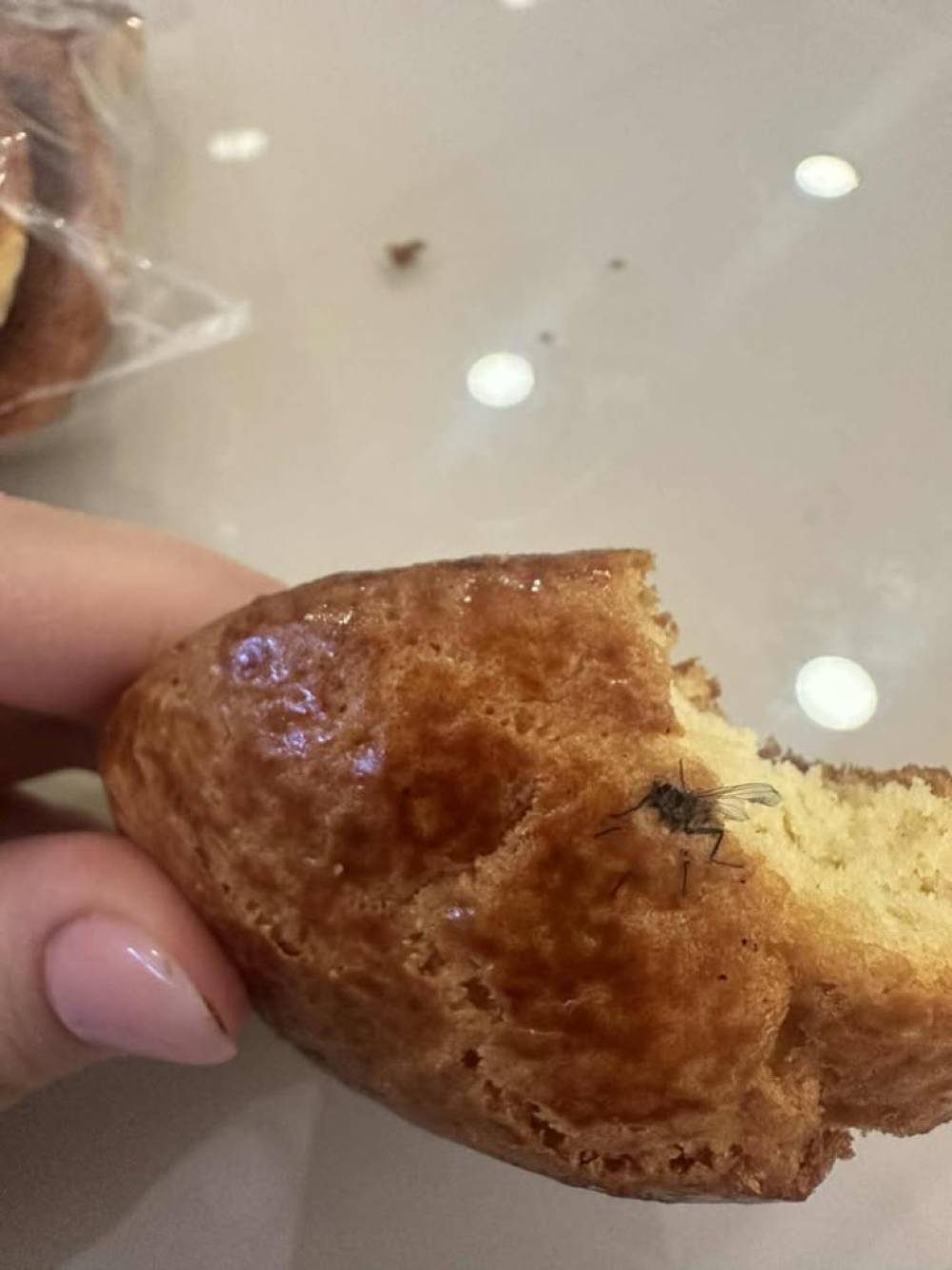 «Նազ սվիթ»-ի խմորեղենի մեջ ճանճ է հայտնաբերվել. օգտատերն ահազանգում է (տեսանյութ)