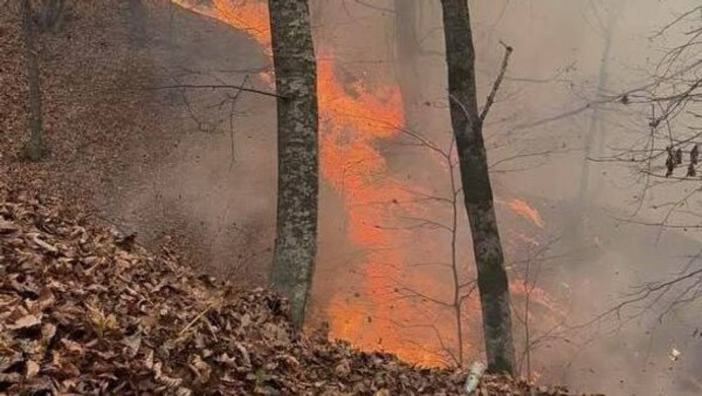 Ժամը 21:00-ի դրությամբ՝ հրշեջ-փրկարարական ստորաբաժանումները շարունակում են իրականացնել ինտենսիվ հրդեհաշիջման աշխատանքներ Տավուշի մարզում