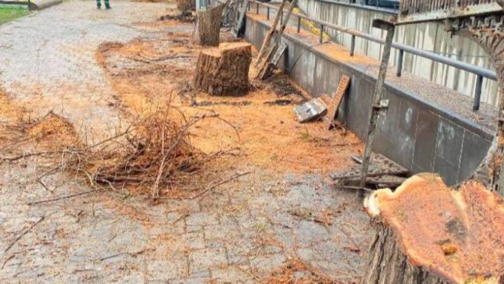 Դուք գնալու եք, ամոթը անուններդ ծածկելու է, դա անխուսափելի է. Քրիստինա Վարդանյան