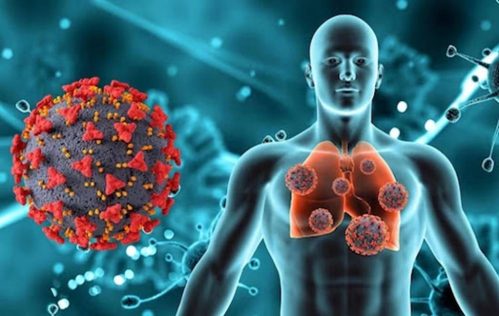 Շնչառական վարակներից շրջանառվում են ռինովիրուսի, պարագրիպի, ադենովիրուսի և կորոնավիրուսային հիվանդության` SARS-Cov-2 հարուցիչներ. ԱՆ