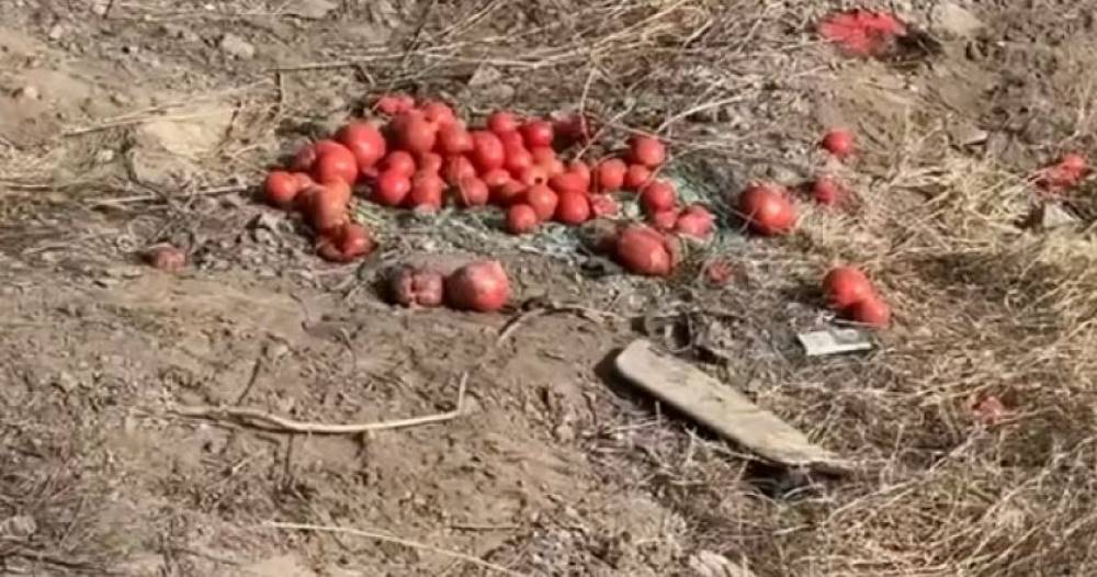 Կադրեր՝ գնացքի մասնակցությամբ ողբերգական վթարի վայրից. զոհը ոստիկան էր (Video)