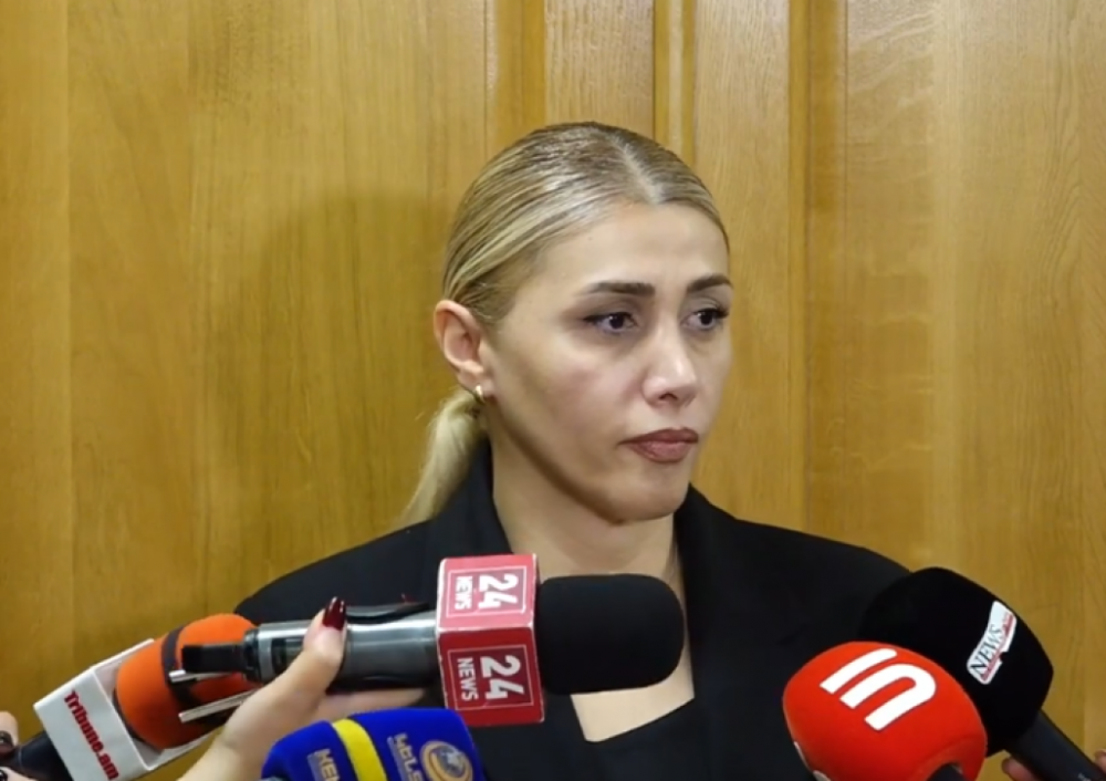 Տարօրինակ կերպով միջազգային կառույցները շատ իներտ են այսօր ՀՀ-ում ժողովրդավարության դեմ ոտնձգություններին. Էլինար Վարդանյան (Տեսանյութ)