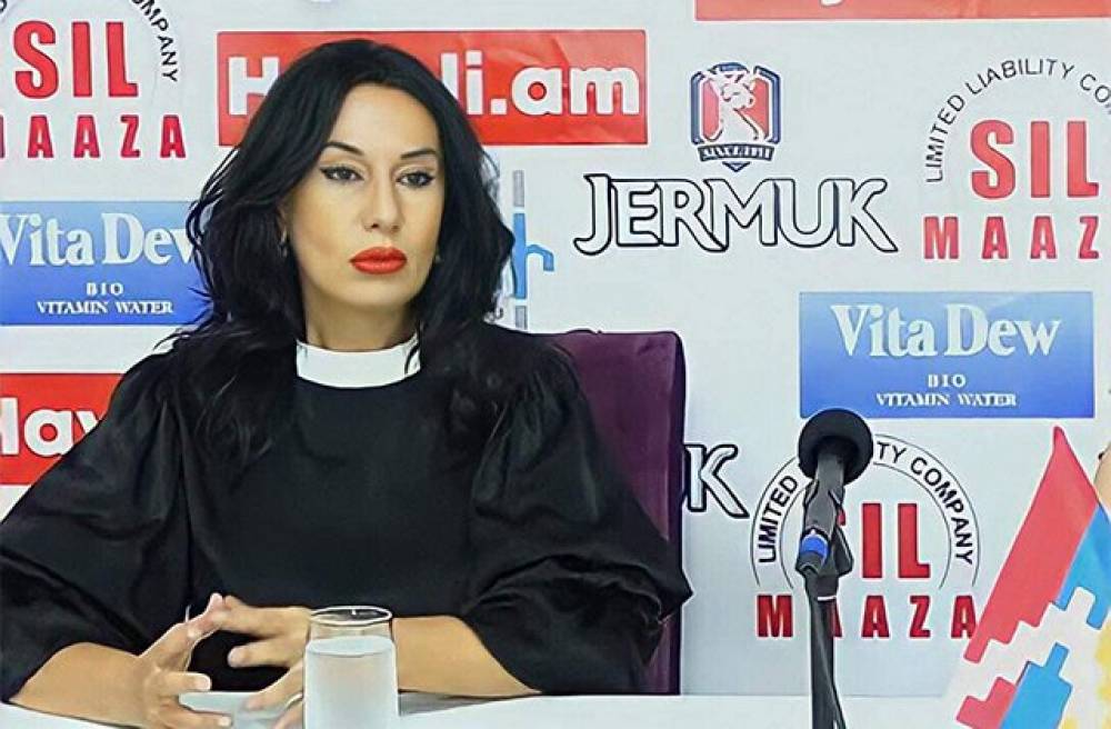 «Սա Գերմանիայում Ադրբեջանի դեսպանն է։ Ցիտում է Նիկոլի երեկ երկնած միտքը»․ Նաիրա Զոհրաբյան