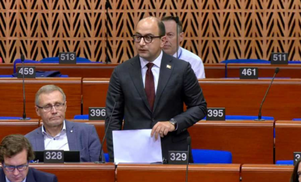 Հանձնարարեք Բաքվում Ձեր դեսպաններին՝ այցելել ադրբեջանական բանտերում պահվող հայ գերիներին. Մամիջանյանը՝ ԵԽԽՎ-ում (Տեսանյութ)