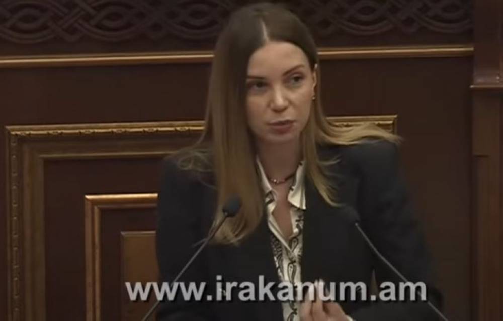«Նիկոլ Փաշինյանը քցել է Էյր Արաբիային,պետք է հայց ներկայացվի. Աննա Գրիգորյան