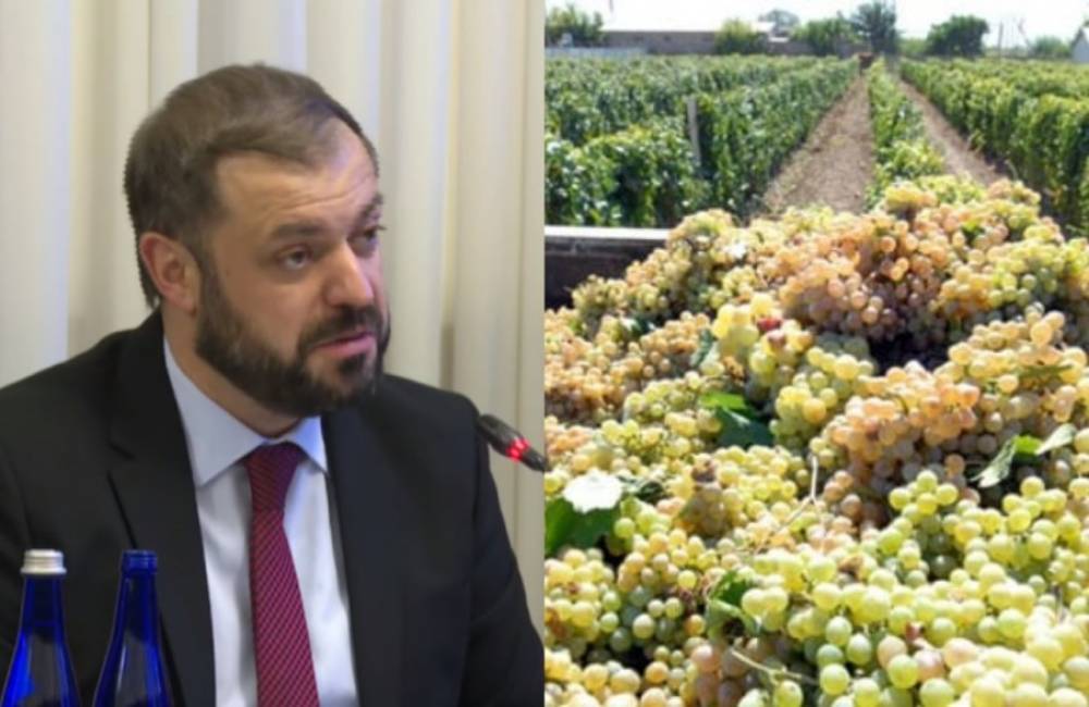 Խաղողի մթերման գործընթացը գնում է ողջ թափով. մեր գործարարների շատ մեծ տոկոսը արժանի է խորը հարգանքի. Գևորգ Պապոյան