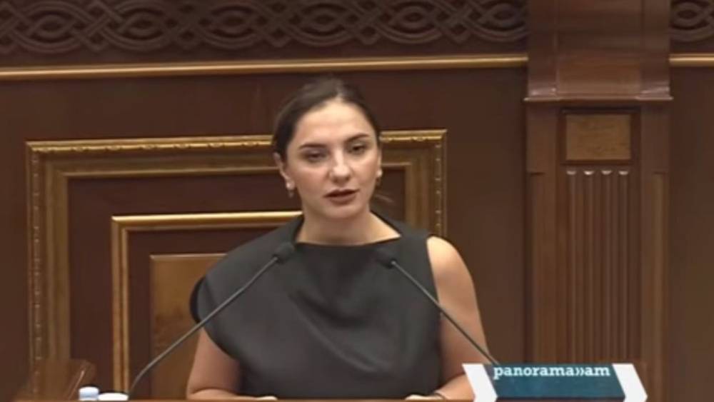 Ալիևի ստորացուցիչ հայտարարությանը դուք չեք պատասխանել, ես կպատասխանեմ․ Արեգա Հովսեփյան