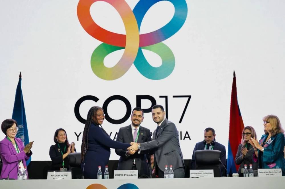 Համբարձում Մաթևոսյանն ընտրվել է COP17-ի նախագահ