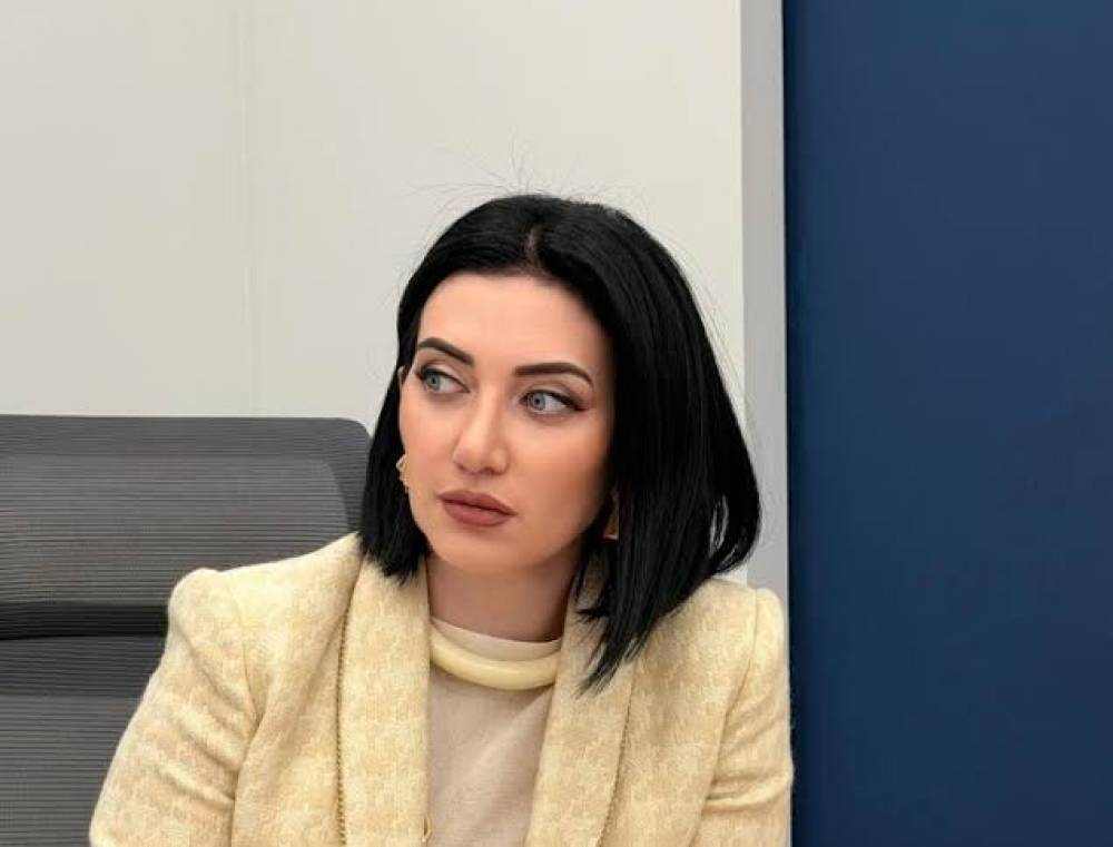 Ամեն իշխանություն ունի իր գրավիտացիայի կենտրոնը, այս իշխանության համար կենտրոնը կոնֆլիկտն է` նախկինների, անցյալի, պատմության հետ, այն ձգում է իր շուրջը բոլորին. Արփինե Հովհաննիսյան