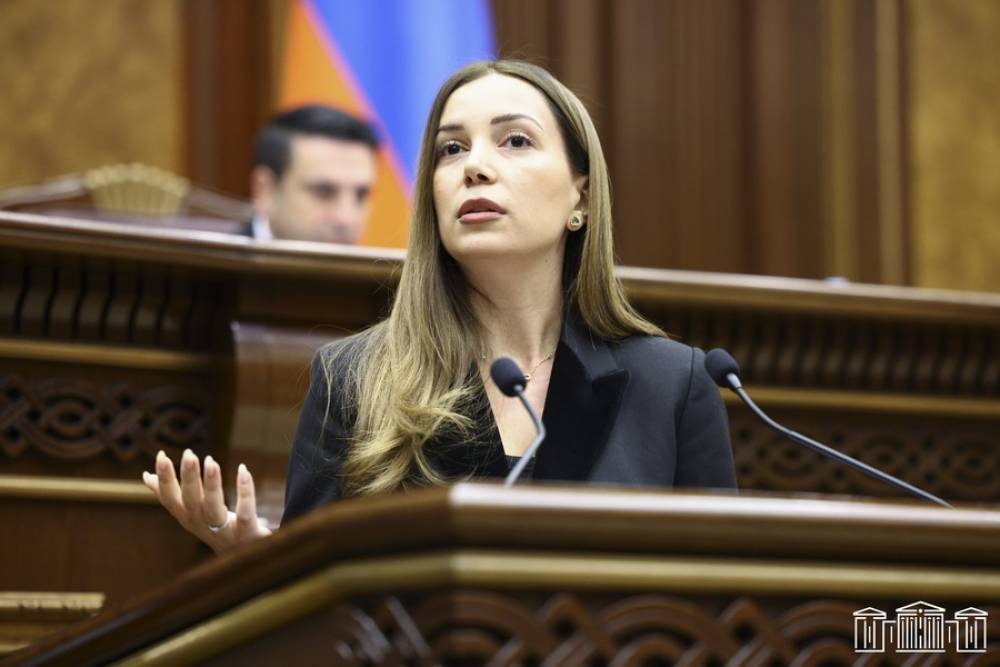 Սուրեն Պապիկյան, դու ռի՞լ նկարելու համար ես, թե անվտանգությունն ապահովելու, կամ ԱԱԾ տնօրենը ինչո՞վ ես զբաղված. Աննա Գրիգորյան