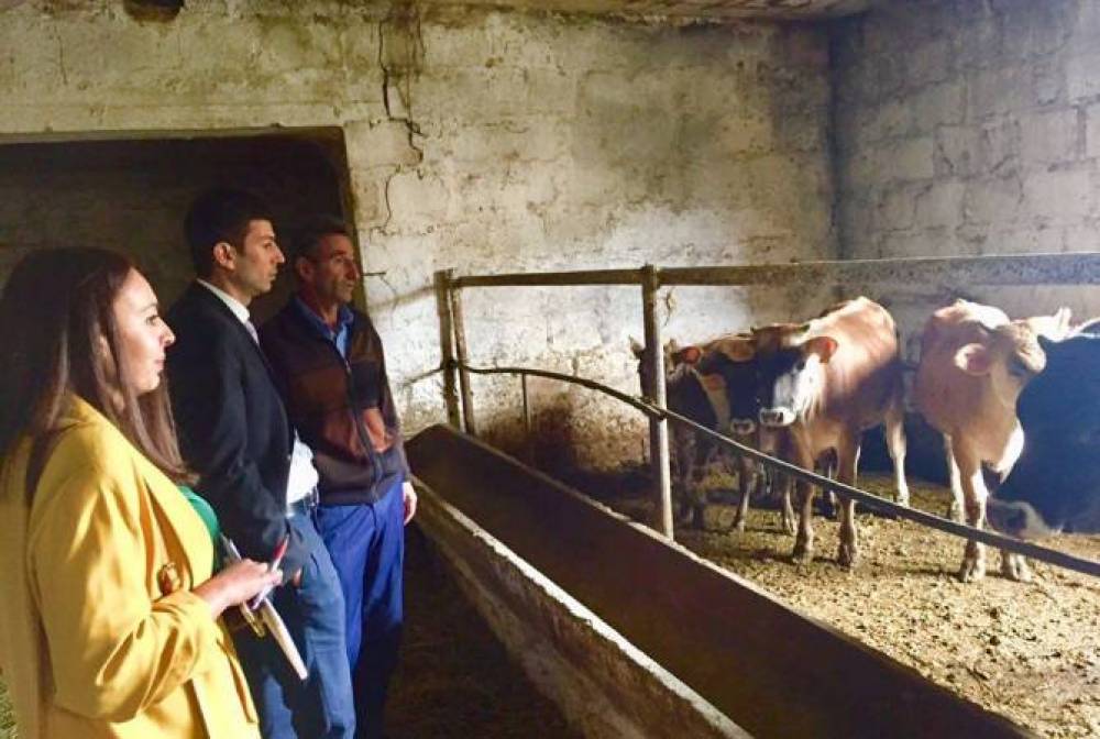 Տիգրան Գաբրիելյանն այցելել է «Գյումրիի սելեկցիոն կայան» ՓԲԸ
