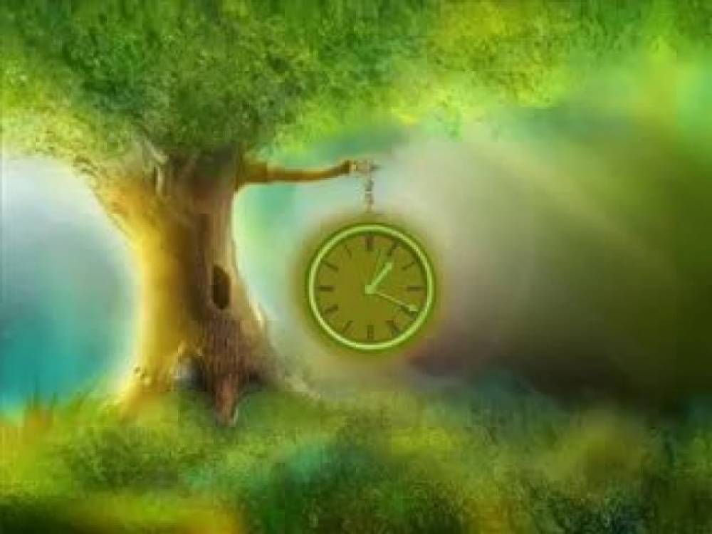 Կյանքդ ընթանում է ճիշտ հունով, եթե առկա են այս 5 նշանները