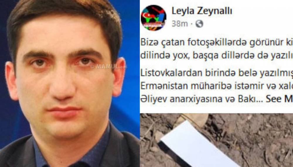 «Ադրբեջանի էթնիկ խմբերը ևս ահաբեկված են». Նաիրի Հոխիկյան